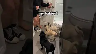 MY MOM WILL NEVER FORGIVE ME! 