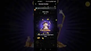 Hamster Kombat Today's 16/6/2024 Combo || Hamster Kombat Today 5M Combo Cards