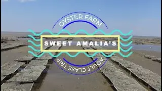 Sweet Amalia Oyster Farm Tour