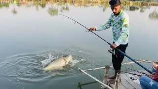 পাবনা ঈশ্বরদী'র ২৫,০০০ টাকার বাজি! 🔥 বরশিতে এমন বিশাল কাতল মাছ আগে দেখেননি! | Giant Fish Challenge 