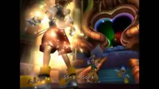 Sora's Sacrifice