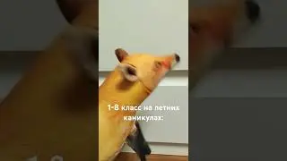 как классы с 1 по 11 