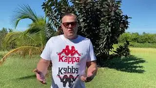 Кубинская ковидная тюрьма -  отзывы после трех дней прибывания в отеле Соль