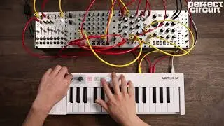 Humble Audio Quad Operator & Algo Eurorack Four Operator FM Oscillator