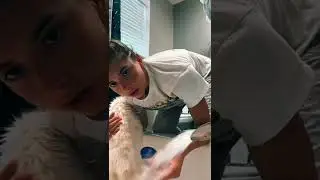 Welcome to my livestream!363 Allyson Periscope Vlog 