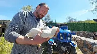 İznik Doğal Yaşam youtube kanal sahibi arkadaşı ziyaret ettik. Ve Dertli Çobana denk geldik.