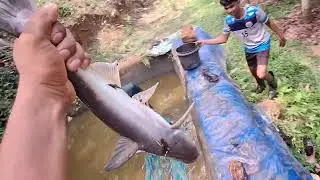 ಮೀನಿನ ಭೇಟೆ.....