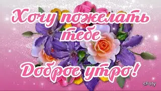 Я хочу пожелать тебе Доброго утра! с чудесным утречком!