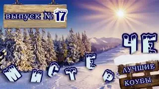 ТОП  coub свежачок №17, Винни Пух