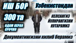 ИШ БОР 300ТА ОДАМ КЕРАК УЗБЕКИСТОН ХАМ КЕЛСАНГИЗ БУЛАДИ