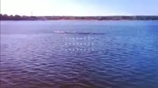 Жизнь течёт своим чередом