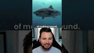 Animal facts that you didn't know #facts #science #shorts #short #new