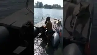 Мастеркат 5.3