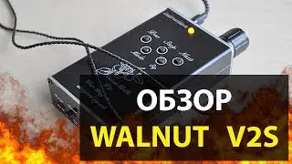 WALNUT V2S | REVIEW OF A COMPLETELY DIFFERENT PLAYER