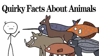 Widely Believed Animal Facts That Are completely wrong！Quirky Facts About Animals!