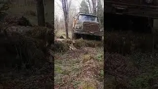Зил-131 на бездоре! 