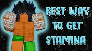 BEST WAY TO GAIN STAMINA! | Project BeatDown!!