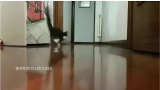 Когда мама пришла с собрания (+_+)