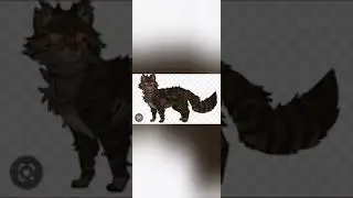 Худшие Коты Воители. Февраль 2023.