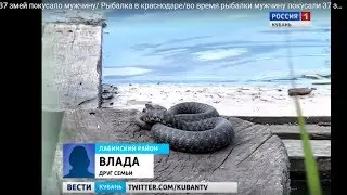 37 змей покусало мужчину/ Рыбалка в краснодаре/во время рыбалки мужчину покусали 37 змей
