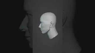 sculpted head 