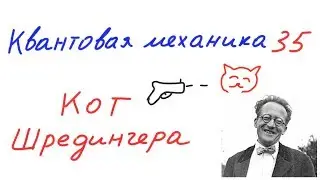 Квантовая механика 35 - Кот Шредингера