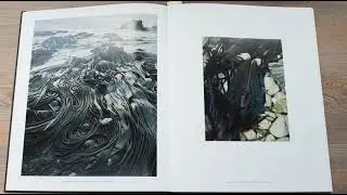 Peter Dombrovskis - Book Review