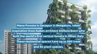 India’s First ‘Vertical Forest’!