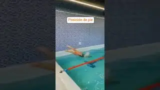 Tipos de entradas en 