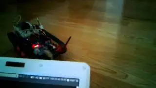 Laser equipped Arduino robot playing with cat