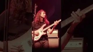 TY SEGALL a la 10ª edició del Vida Festival✨