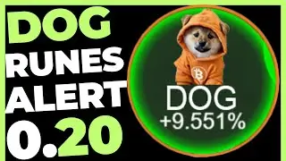 DOG GO TO THE MOON AERTA TOTAL PRÓXIMAS HORAS