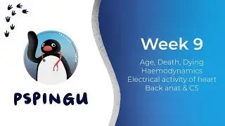 Sem 2 Week 9 Content + Week 8 Kahoot