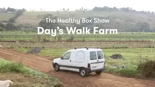 Day's Walk Farm – The Healthy Box Show E1