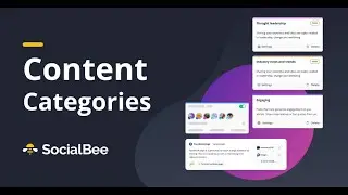 SocialBee's Content Categories: All You Need To Know