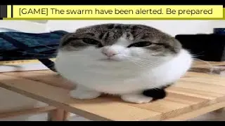 ☣️ RE:Infected Swarm Events ZZZZZZ