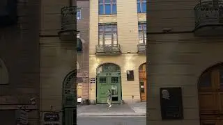 🤍