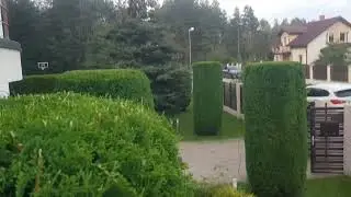 26 августа 2023 г.(1)