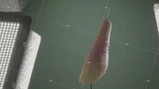 Pear rotating with loop on green screen for chroma key