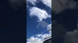 Летают по своему желанию