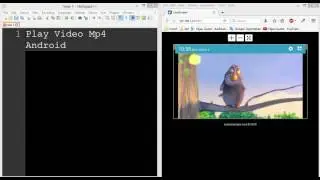 Android +  VideoView