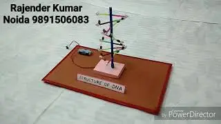 Working model of DNA Structure