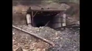 Налоговики обнаружили очередную копанку