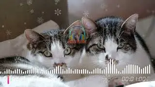 Friday Fugue - Trevor Garrod Sinematik Musik Gembira Audio Bebas Hak Cipta