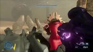 Executing The Prophet of Truth