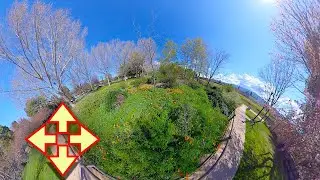 Control This Video  - In The Nature 3