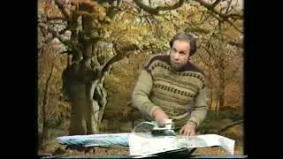 Preserving Autumn Leaves