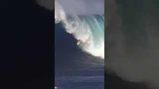 #shanedorian