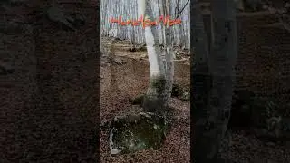 HandpaNox 