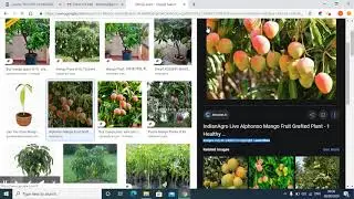 How to find copyright free and creative commons images on Google